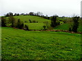 Mulnahaunch Townland