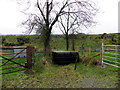 Silage bales, Killeeshil