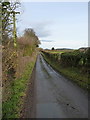 Towards Little Langley Farm