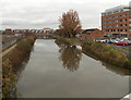 Downstream along the Tone in Taunton