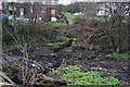 Culvert at Tongue Gutter, Parson Cross