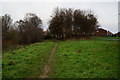 Trans Pennine Trail towards Wordsworth Avenue