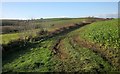 Field boundary near Butterdon Farm