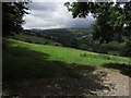 View NW along Ceiriog Valley from Offa