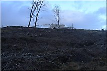 NN6236 : Ragged remnants of felled forest at Edramucky by Alan Reid