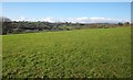 Field near Woolston