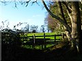 Looking across stile beside Port Copse Plantation