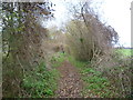 Bridleway near Park Farm