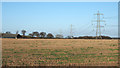 Pylon line crossing stubble field