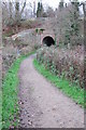 Tunnel under Railway