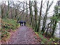 Cronfa Ddwr Lliedi Isaf / Lower Lliedi Reservoir