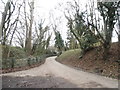 Farm track off Shere Road