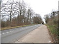 Layby on Epsom Road entering Horsley