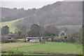 Taunton Deane : Grassy Field