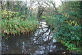 Mill River, Bixley Heath