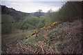 Pen y Ddinas quarry