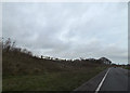 TL2762 : A1198  St.Ives Road & Bridleway by Geographer