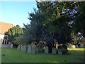 St Mary Magdalen, Ripley: churchyard (d)