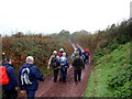 Llwybr Penlan Isaf / Penlan Isaf path