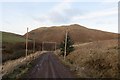 Logging road, Arks