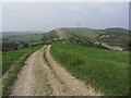 View W along Knowle Hill, Purbeck Hills