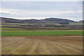 Fields at West Kinnochtry, near Burrelton