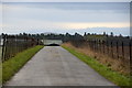 Track to West Whitefield, near Wolfhill