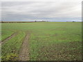 Farmland near Saxilby