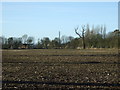 Farmland off Wansford Road (B1249)