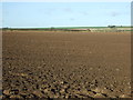 TA0358 : Ploughed field north of Bridlington Road by JThomas