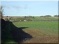 Crop field beside Green Lane