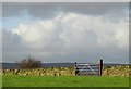 Field gate to Riggs High Road, Stannington