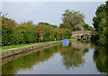 Macclesfield Canal near Wood Lanes, Cheshire