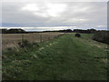 The North Downs Way running along Wye Downs