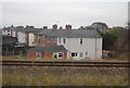 Houses on Lime Avenue