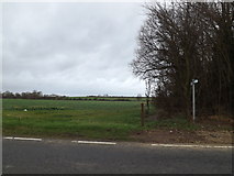 TL2057 : Footpath to the A428 Cambridge Road by Geographer
