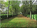 Tree Cathedral at Whipsnade