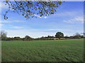 View NE across fields towards All Saints