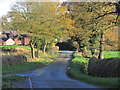 Autumn colours, School Lane, Eaton near Congleton