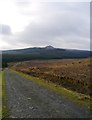 Access Track Near Penchrise Peel