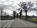 Road junction near Reedham