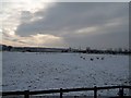 Wintery Scene over the Trent Flood Plain