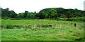 View north across pasture land towards the southern end of Carricknagavna Road