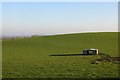 Grassland, Stanwardine