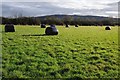 SO9142 : Silage bales by Philip Halling