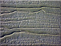 TA0223 : Mud  Flat  patterns  at  low  tide by Martin Dawes