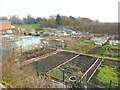 Sedgley, allotments