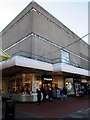 Tiger in Cwmbran Shopping Centre