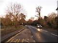 Bus stop on the A25, Westcott