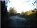 Frosty path west of Eastwood